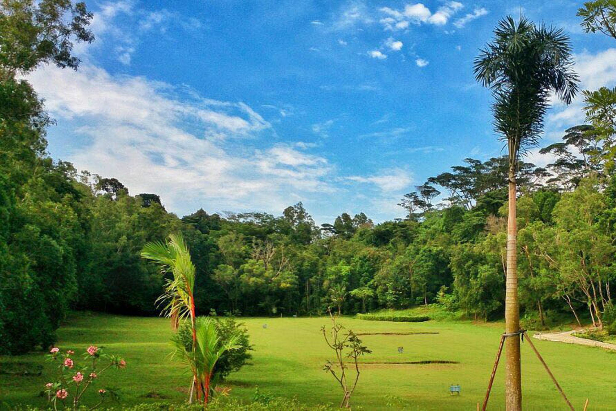 Batam Sijori Resort מראה חיצוני תמונה